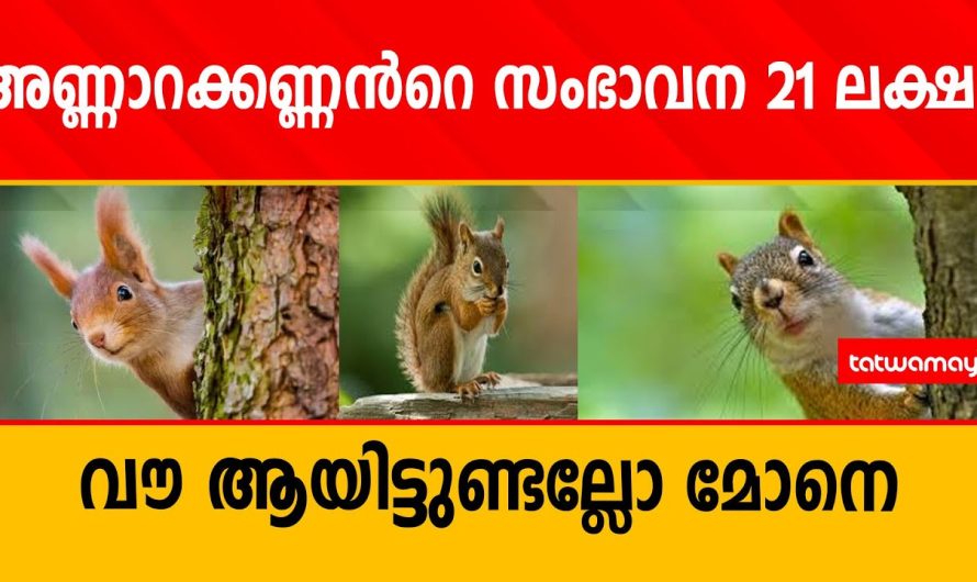 അണ്ണാറക്കണ്ണന്‍റെ സംഭാവന 21 ലക്ഷംവൗ ആയിട്ടുണ്ടല്ലോ മോനെ