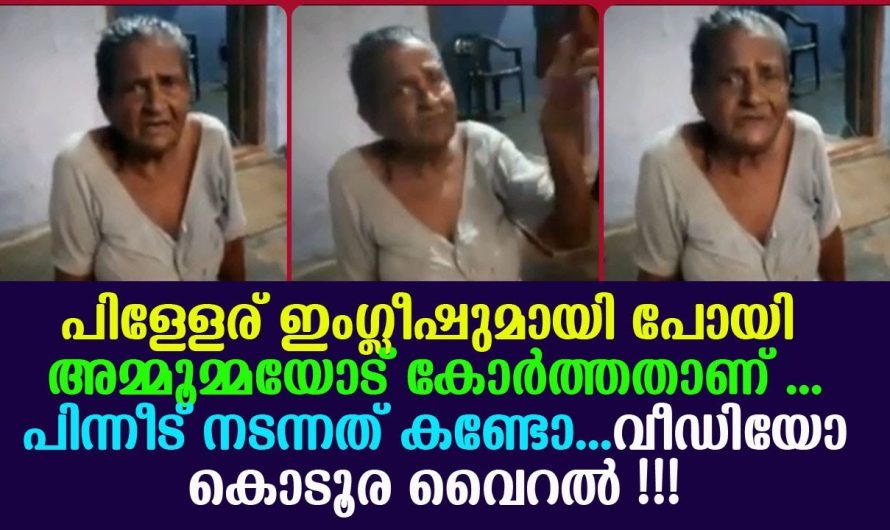 പിള്ളേര് ഇംഗ്ലീഷുമായി പോയി അമ്മൂമ്മയോട് കോർത്തതാണ് ..പിന്നീട് നടന്നത് കണ്ടോ…വീഡിയോ കൊടൂര വൈറൽ !!!