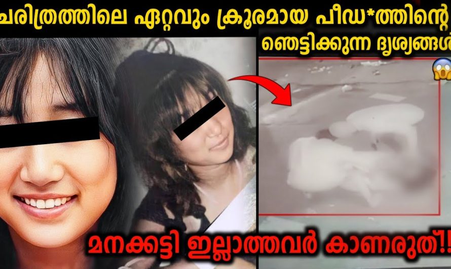 മനക്കട്ടി ഇല്ലാത്തവർ കാണരുത്!