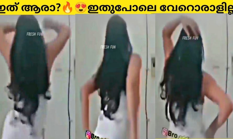 ഈ ഭംഗി കണ്ട ക്യാമറാമാൻ|2024ലെ ചിരിയുടെ മാലപ്പടക്കം