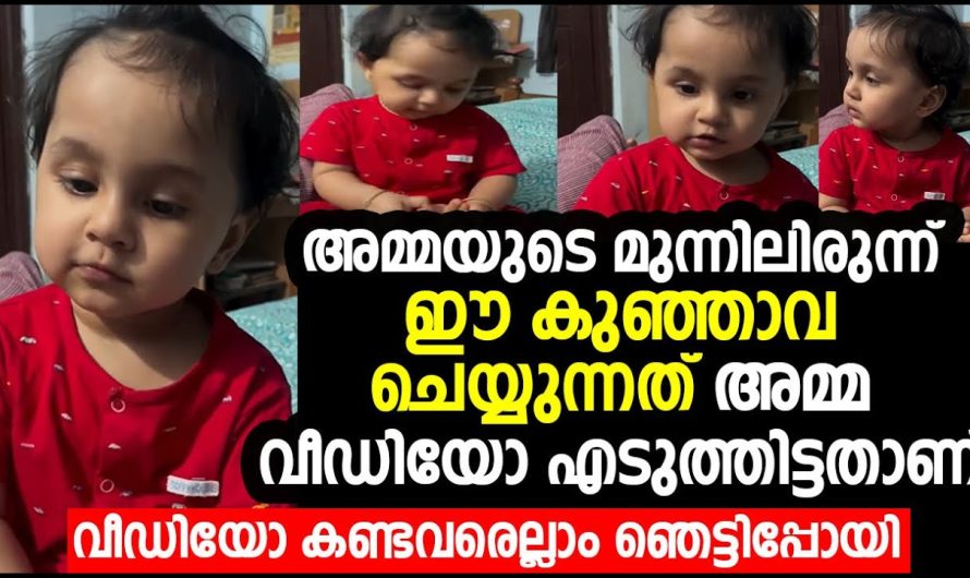 അമ്മയുടെ മുന്നിലിരുന്ന് ഈ കുഞ്ഞാവ ചെയ്യുന്നത് കണ്ടവരെല്ലാം ഞെട്ടിപ്പോയി