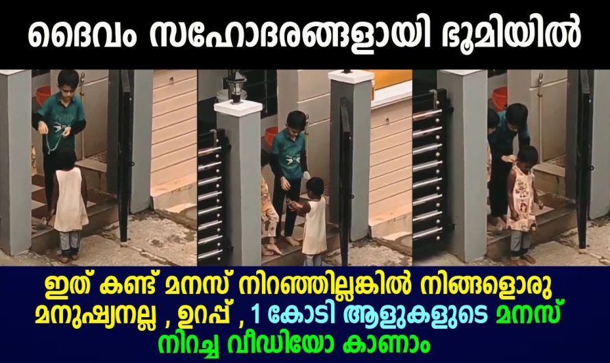 ഇത് കണ്ട് മനസ് നിറഞ്ഞില്ലങ്കിൽ നിങ്ങളൊരു മനുഷ്യനല്ല , ഉറപ്പ് !!