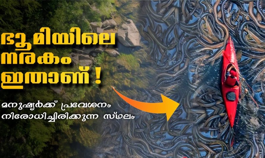 ഭൂമിയിലെ നരഗം..മനുഷ്യനെ തടഞ്ഞിരിക്കുന്ന സ്ഥലം..