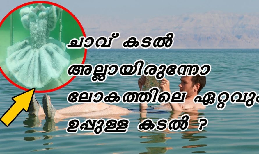 ശരിയാണെന്ന് നിങ്ങൾ ഇപ്പോഴും വിശ്വസിക്കുന്ന 10 മിഥ്യാ ധാരണകൾ