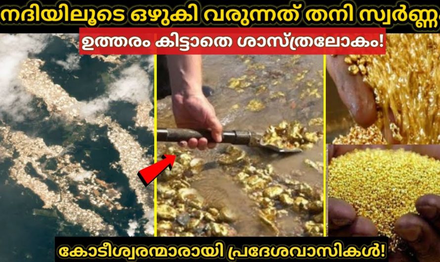 സ്വർണ്ണം ഒഴുകുന്ന ഇന്ത്യയിലെ നദി..! ഇത് ലോകൽത്ഭുതം..