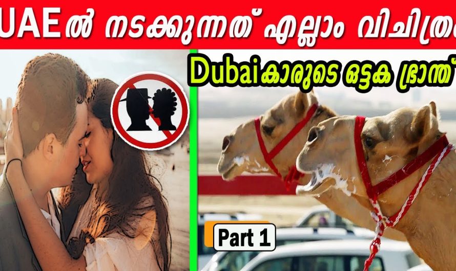 UAE-യെക്കുറിച്ചുള്ള അവിശ്വസനീയമായ വസ്തുതകൾ