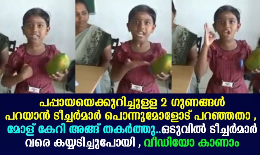പപ്പായയെക്കുറിച്ചുള്ള 2 ഗുണങ്ങൾ പറയാൻ ടീച്ചർമാർ പൊന്നുമോളോട് പറഞ്ഞതാ , മോള് കേറി അങ്ങ് തകർത്തു