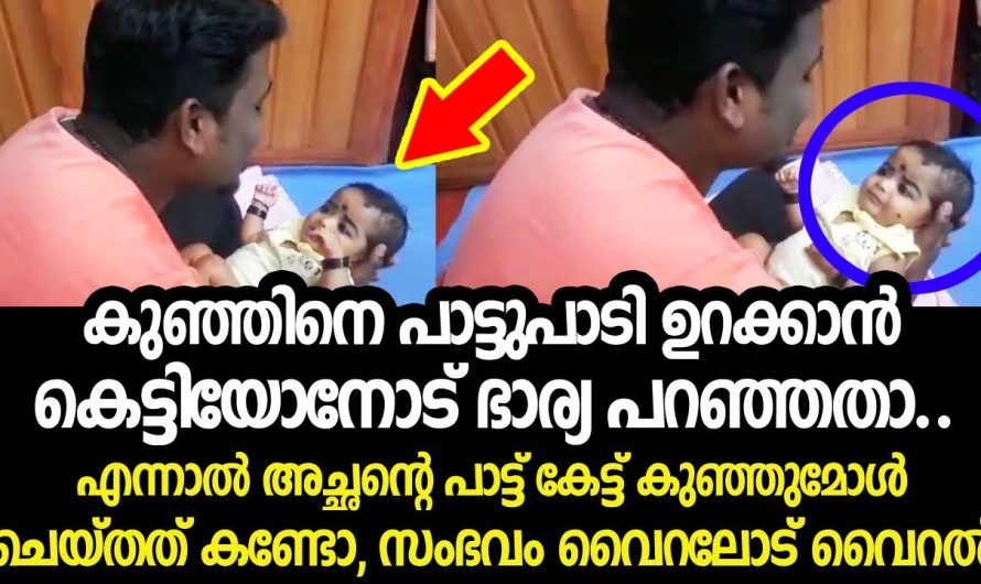 കുഞ്ഞിനെ പാട്ടുപാടി ഉറക്കാൻ കെട്ടിയോനോട് ഭാര്യ പറഞ്ഞതാ, പിന്നെ സംഭവിച്ചത് കണ്ടോ