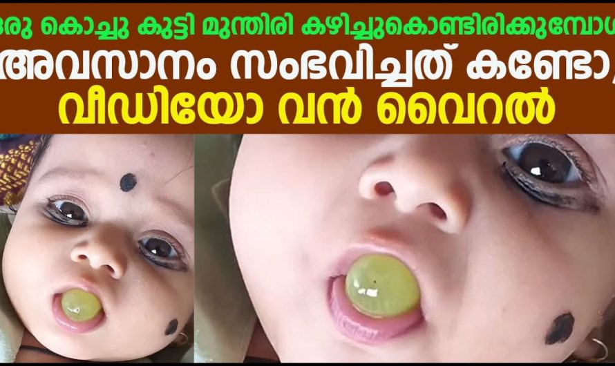ഒരു കൊച്ചു കുട്ടി മുന്തിരി കഴിച്ചുകൊണ്ടിരിക്കുമ്പോൾ അവസാനം സംഭവിച്ചത് കണ്ടോ, വീഡിയോ വൻ വൈറൽ