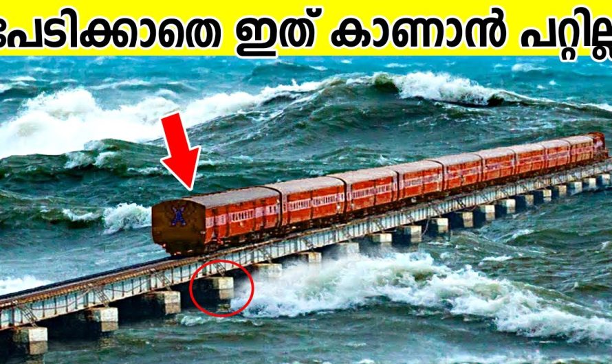 ഇതൊന്നും കാണാതെ പോകരുത്