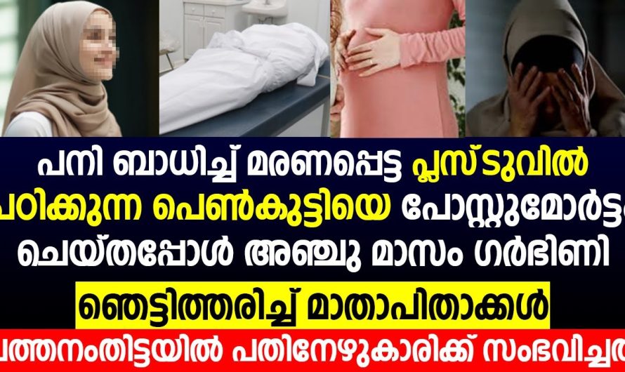 പത്തനംതിട്ടയിൽ പതിനേഴുകാരിക്ക് സംഭവിച്ചത് | ഞെട്ടി മാതാപിതാക്കൾ