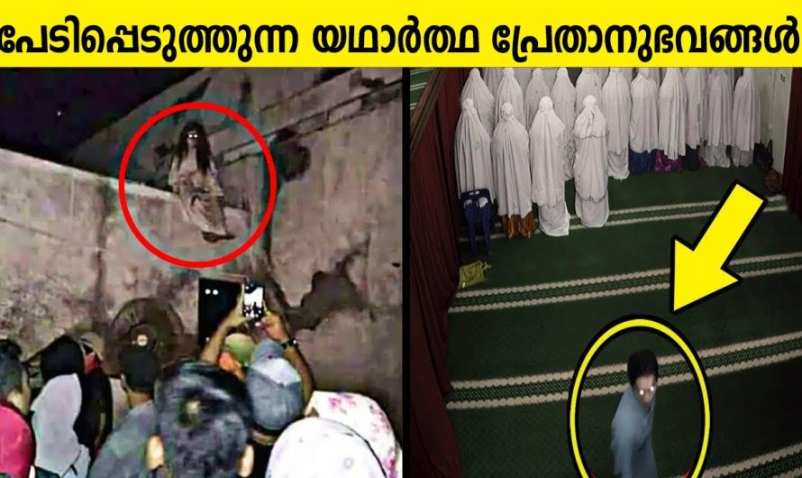 പ്രേതബാധയുള്ള വീട്ടിലെ മുറിയിൽ പാട്ടു കേൾക്കുന്നു. ചെന്ന് നോക്കിയപ്പോൾ ഞെട്ടിക്കുന്ന കാഴ്ച!