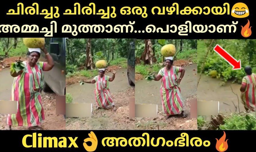 അമ്മച്ചി നിങ്ങൾ മുത്താണ്😘ഇതിലും വലിയ കോമഡി സ്വപ്നങ്ങളിൽ മാത്രം😂