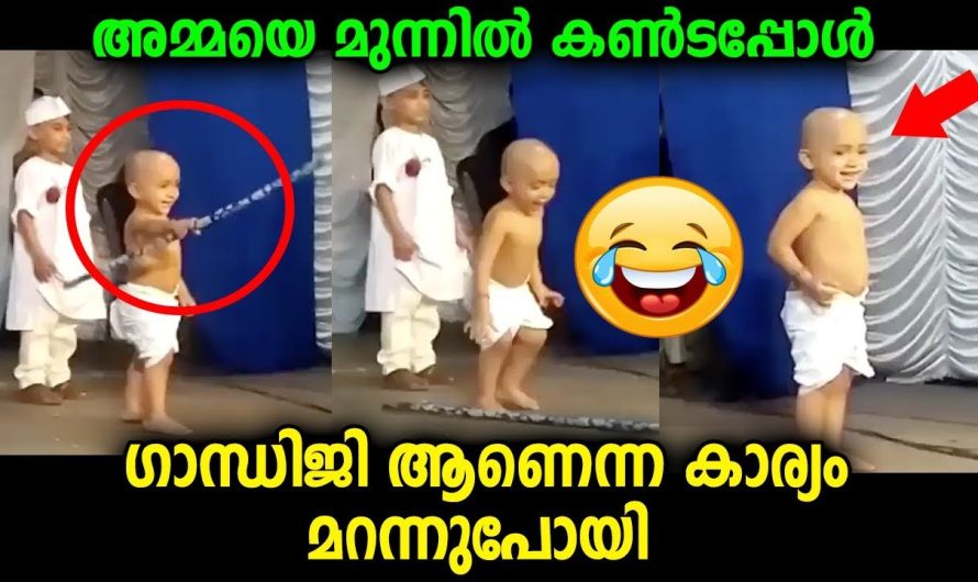 സ്റ്റേജിലെ പരിപാടിക്ക് മുന്നിൽ അമ്മയെ കണ്ടപ്പോൾ വാവ താൻ അഭിനയിക്കുകയാണെന്ന കാര്യം മറന്നു