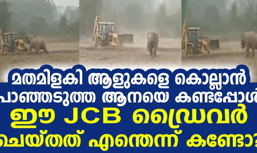 JCBയും ആനയും പൊരിഞ്ഞ അടി..!! ഒടുവിൽ സംഭവിച്ചത് കണ്ടോ…!