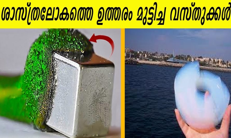 എന്തിനേയും വിഴുങ്ങികളയുന്ന slime രാക്ഷസനും,കല്ലിനെ വരെ പൊടിച്ചുകളയുന്ന വസ്തുവും|അസാധാരണ പദാർത്ഥങ്ങൾ