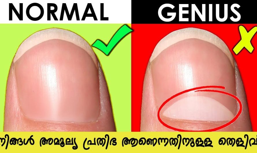 നിങ്ങൾ ഒരു പ്രതിഭയാണെന്ന് തെളിയിക്കുന്നു 10 അടയാളങ്ങൾ