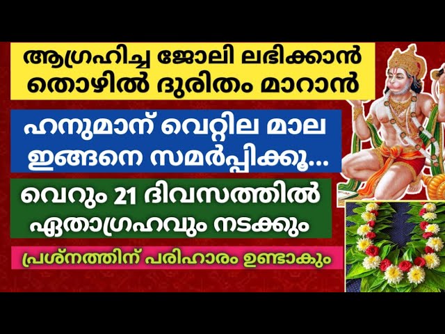 ഹനുമാന് വെറ്റിലമാല ഇങ്ങനെ സമർപ്പിച്ചാൽ… 21 ദിവസത്തിൽ ഏതാഗ്രഹവും സാധിക്കും, പ്രശ്നത്തിന് പരിഹാരം!