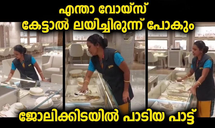 കേട്ടാൽ ആരും ലയിച്ചിരുന്നുപോകുന്ന ആലാപനവും ശബ്ദവും…ജോലിക്കിടയിൽ പാടിയ പാട്ട് വൈറൽ