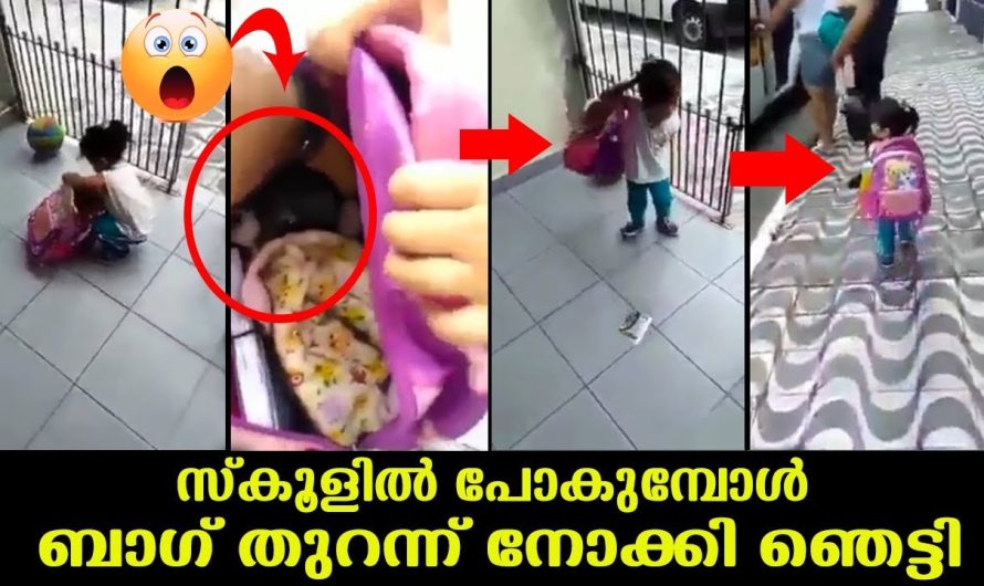 കുട്ടികളെ സ്കൂളിലേയ്ക്ക് അയക്കുമോൾ മാതാപിതാക്കൾ അവരുടെ ബാഗ് പരിശോധിക്കുക.അല്ലെങ്കിൽ ഇതാവും സ്ഥിതി