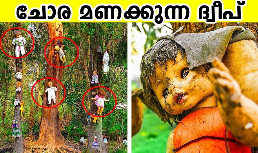 ലോകത്തിലെ ഏറ്റവും വിചിത്രമായ സ്ഥലങ്ങൾ