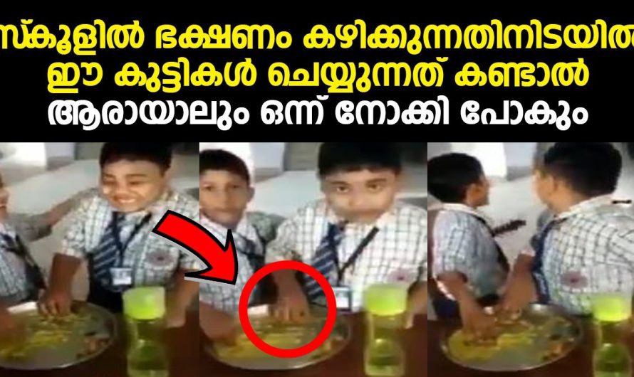 സ്‌കൂളിൽ ഭക്ഷണം കഴിക്കുന്നതിനിടയിൽ ഈ കുട്ടികൾ ചെയ്യുന്നത് കണ്ടാൽ ആരായാലും ഒന്ന് നോക്കി പോകും