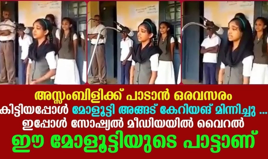 കിടു എന്ന് വെച്ചാൽ കിടു അതിൽ കുറഞ്ഞതൊന്നും പറയാനില്ല !!!!