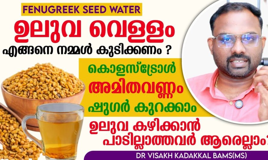ഉലുവ വെള്ളത്തിൻ്റെ ഗുണങ്ങൾ, കഴിക്കാൻ പാടില്ലാത്തവർ ആരെല്ലാം? എങ്ങനെ നമ്മൾ കുടിക്കാനായി തയ്യാറാക്കണം?