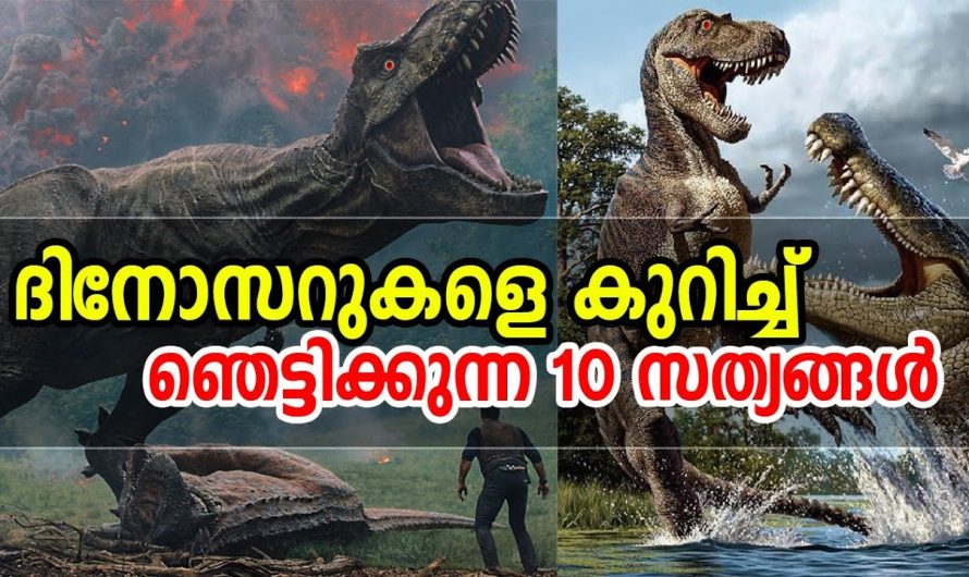 ദിനോസറുകളെ കുറിച്ച് ഞെട്ടിക്കുന്ന 10 സത്യങ്ങൾ