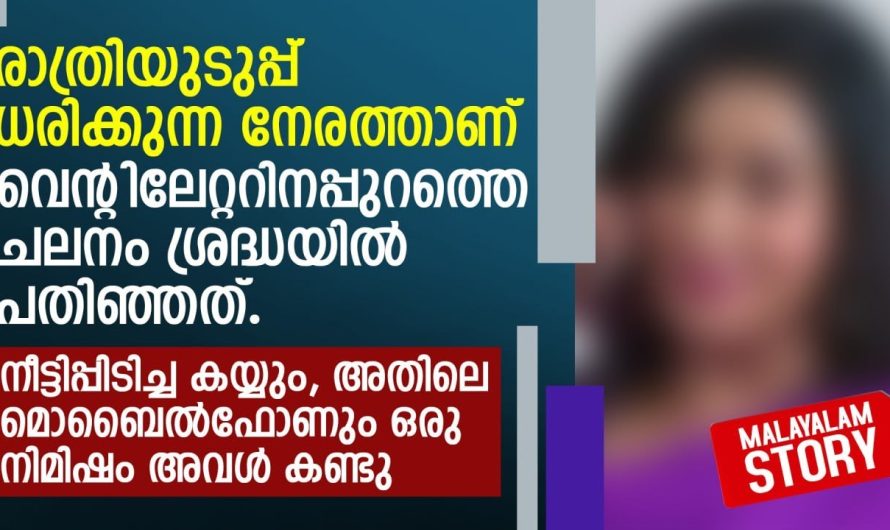 രാത്രിയുടുപ്പ് ധരിക്കുന്ന നേരത്താണ് വെൻ്റിലേറ്ററിനപ്പുറത്തെ ചലനം ശ്രദ്ധയിൽ പതിഞ്ഞത്