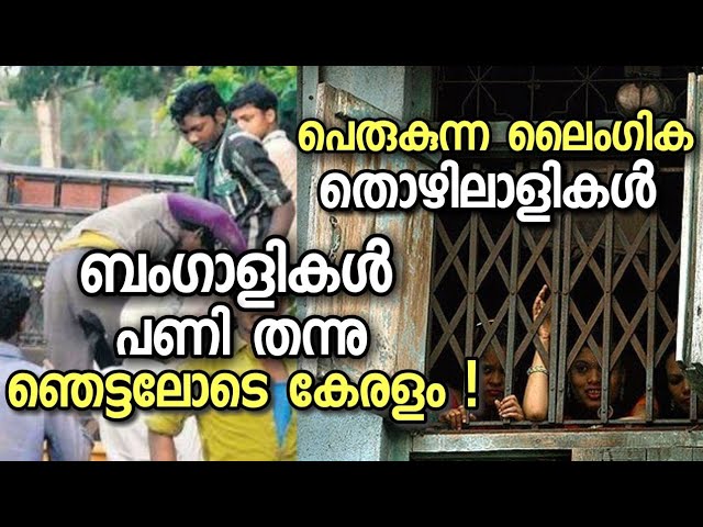 ബംഗാളികൾ പണി തന്നു ഞെട്ടലോടെ കേരളം😱😱