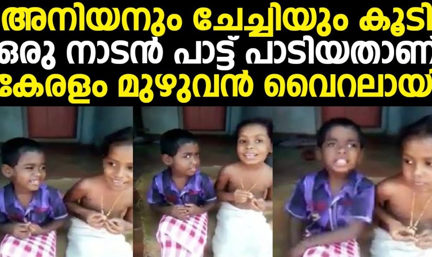 അനിയനും ചേച്ചിയും കൂടി ഒരു നാടൻ പാട്ട് പാടിയതാണ് കേരളം മുഴുവൻ വൈറലായി
