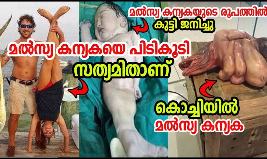 മത്സ്യ കന്യകയെ പിടികൂടി ! മത്സ്യ കന്യക ജനിച്ചു ! മത്സ്യ കന്യക സത്യമാണോ ?