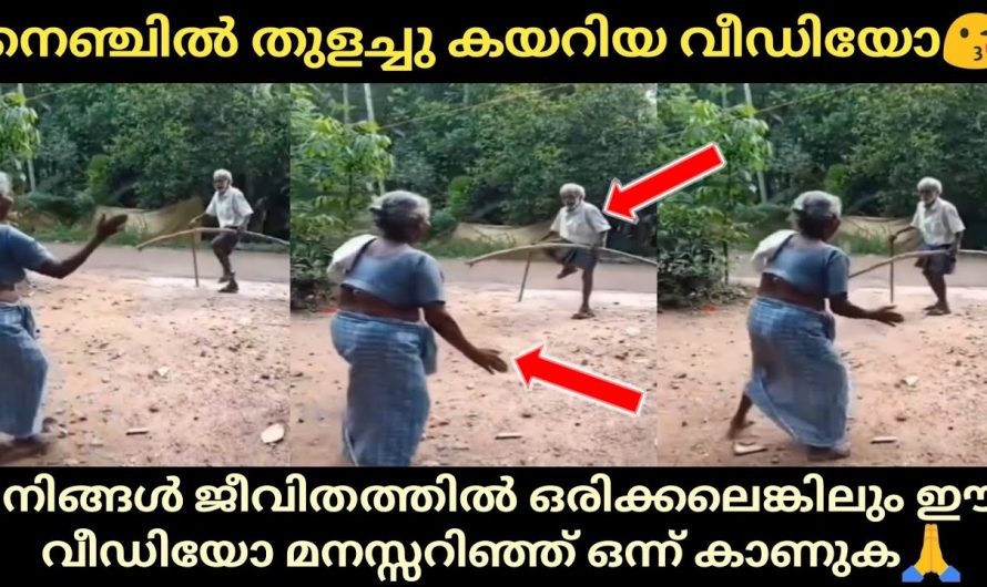 ഈ കുഞ്ഞു വീഡിയോ എത്ര തവണ കണ്ടു എന്നറിയില്ല, ഒരുപാട് പേർ ഷെയർ ചെയ്തു കണ്ട വീഡിയോ