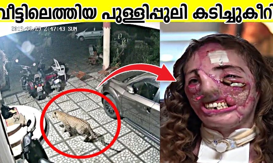 CCTV യിൽ പതിഞ്ഞ ഞെട്ടിക്കുന്ന സംഭവം