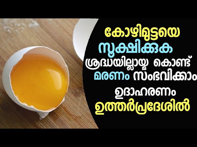 കോഴിമുട്ട കഴിക്കുന്നവർ കാണാതെ പോവരുത്
