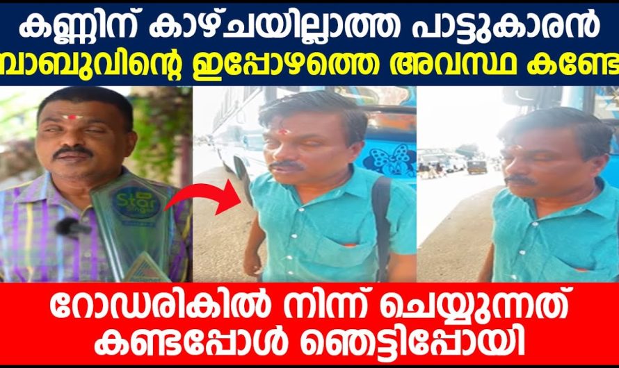 കണ്ണിന് കാഴ്ചയില്ലാത്ത പാട്ടുകാരൻ ബാബുവിന്റെ ഇപ്പോഴത്തെ അവസ്ഥ കണ്ടോ