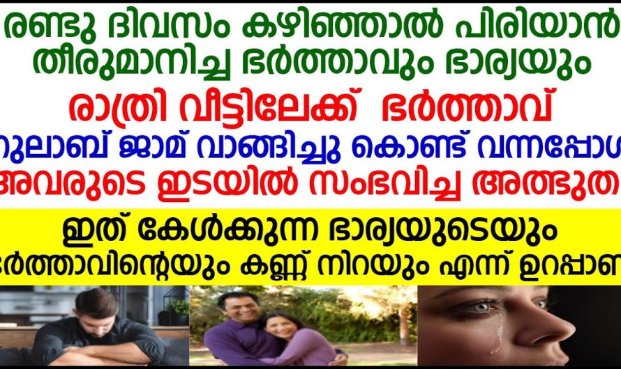 ഇത് കേൾക്കുന്ന ഭാര്യയുടെയും ഭർത്താവിന്റെയും കണ്ണ് നിറയും എന്ന് ഉറപ്പാണ്