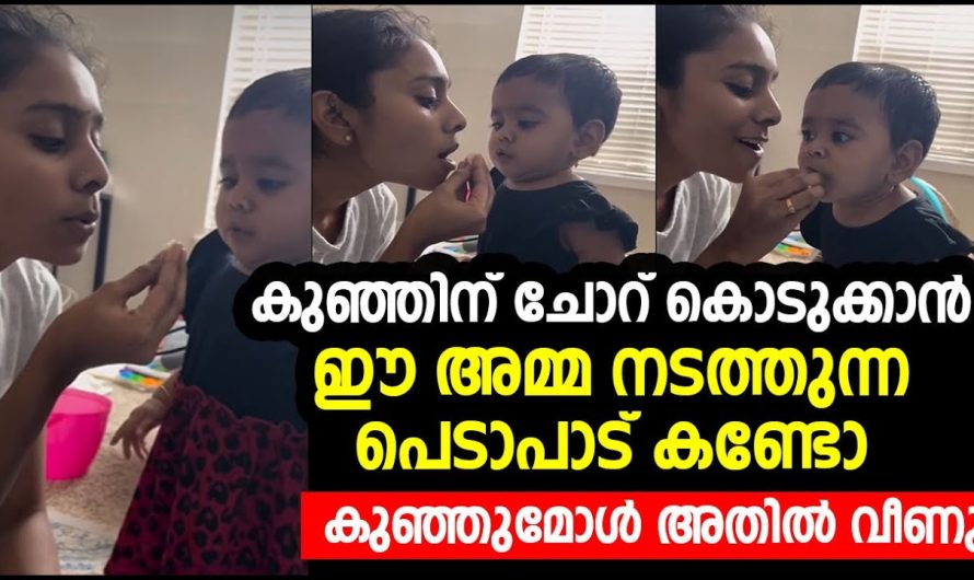 കുഞ്ഞിന് ചോറ് കൊടുക്കാൻ ഈ അമ്മ നടത്തുന്ന പെടാപാട് കണ്ടോ