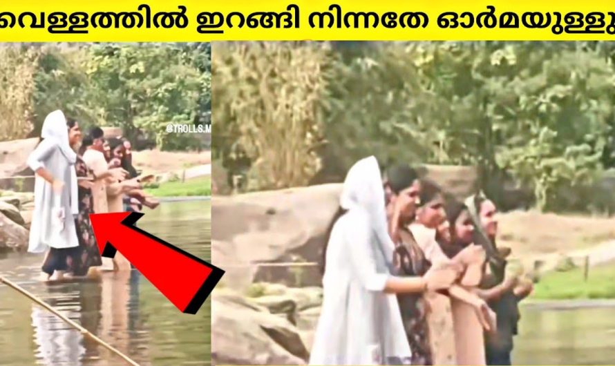 ക്യാമറയിൽ പതിഞ്ഞതുകൊണ്ട് തെളിവുണ്ടായി| ചിരിപ്പിക്കും