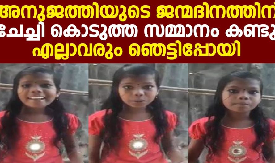 അനുജത്തിയുടെ ജന്മദിനത്തിന് ചേച്ചി കൊടുത്ത സമ്മാനം കണ്ടു എല്ലാവരും ഞെട്ടിപ്പോയി വീഡിയോ വൻ വൈറലായി