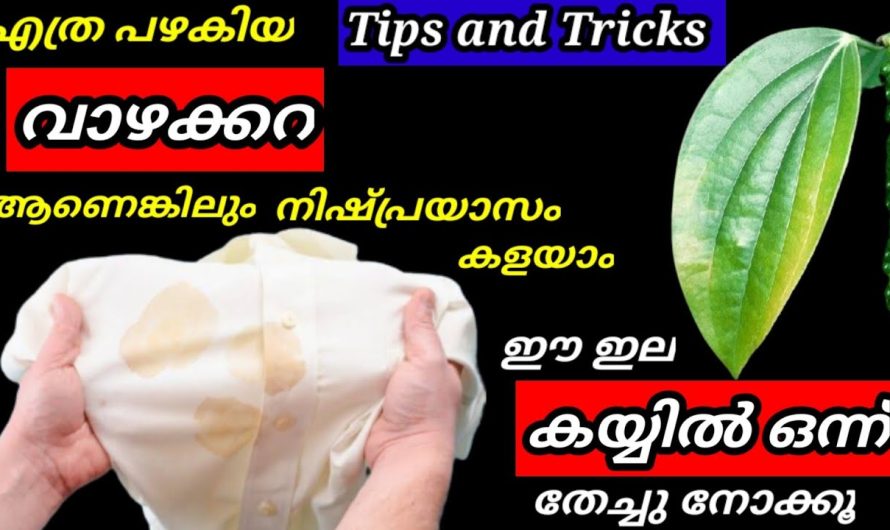 തുണികളിലെ വാഴക്കറ എത്ര പഴകിയാലും പാട് പോലും വരാതെ മാറ്റാം