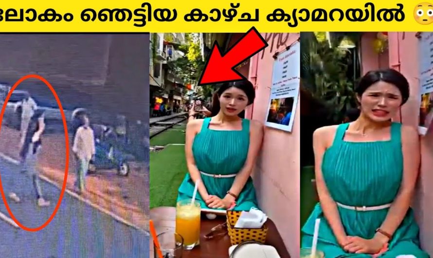 കാലൻ അവധിക്ക് പോയ നിമിഷം സംഭവിച്ചത്|ലോകം ഞെട്ടിയ കാഴ്ച്ച