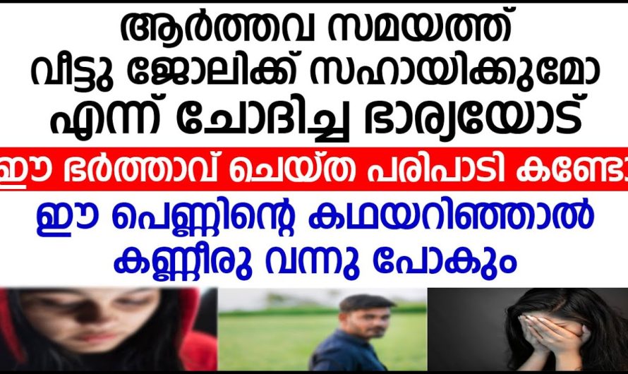 ആ.ർ.ത്ത.വ സമയത്ത് വീട്ടു ജോലിക്ക് സഹായിക്കുമോ എന്ന് ചോദിച്ച ഭാര്യയോട് ഈ ഭർത്താവ് ചെയ്ത പരിപാടി കണ്ടോ.