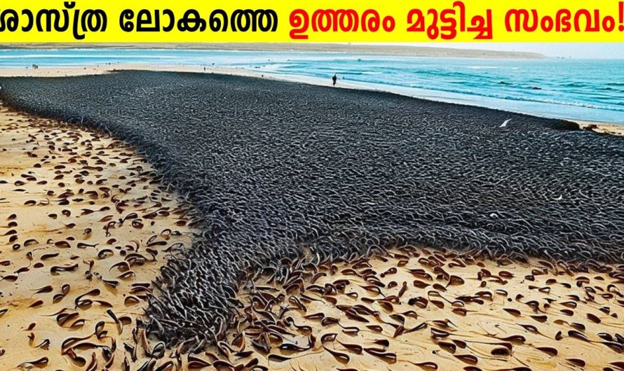 ശാസ്ത്ര ലോകത്തെ ഞെട്ടിച്ച പ്രതിഭാസങ്ങൾ!😱