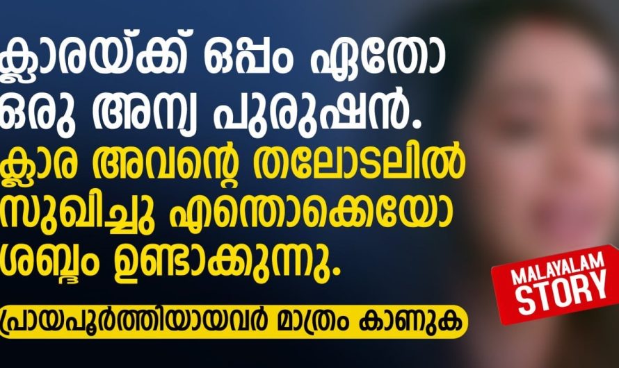 ക്ലാര അവന്റെ തലോടലിൽ സുഖിച്ചു എന്തൊക്കെയോ ശബ്ദം ഉണ്ടാക്കുന്നു