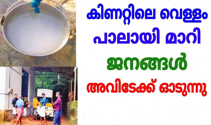 കിണറ്റിലെ വെള്ളം പാലായി മാറി പിന്നീട് അവിടെ നടന്നത്