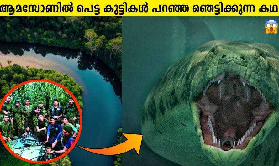 ഒരു മാസം ആമസോൺ കാട്ടിൽ അകപ്പെട്ടപ്പോൾ!!😱