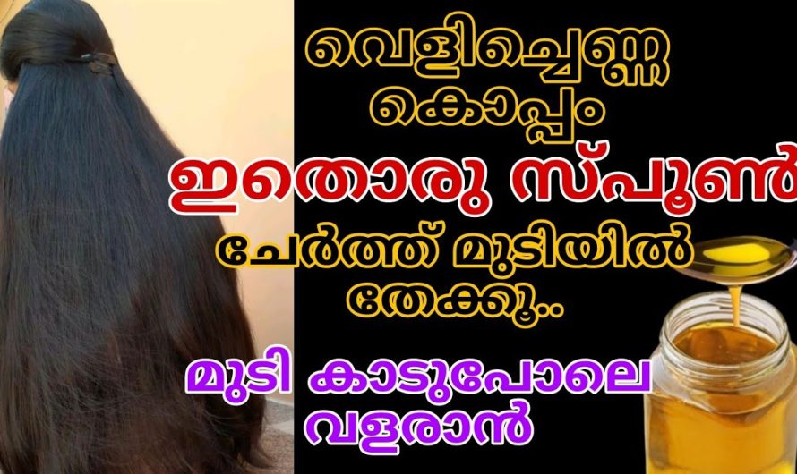 വെളിച്ചെണ്ണകൊപ്പം ഇതൊരു തുള്ളി കൂടി ചേർത്ത് തലയിൽ തേക്കൂ മുടി ഇരട്ടിയായി വളരും