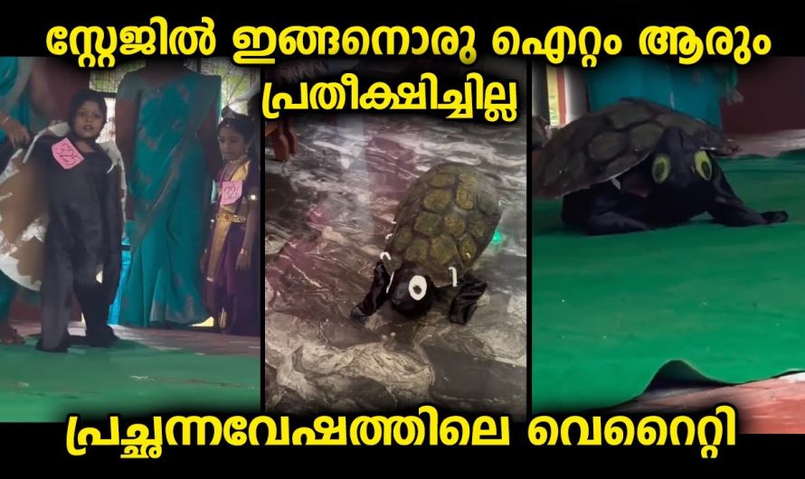 സ്റ്റേജിൽ ഇങ്ങനെ ഒരു വെറൈറ്റി ഐറ്റം ആരും പ്രതീക്ഷിച്ചില്ല…സ്കൂളിലെ പ്രച്ഛന്ന വേഷ മത്സരം